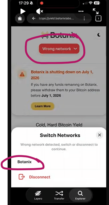 image showing wrong network selected in LayerzWallet